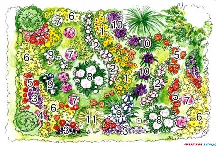 Cum să aranjați o grădină de flori din plantele perene