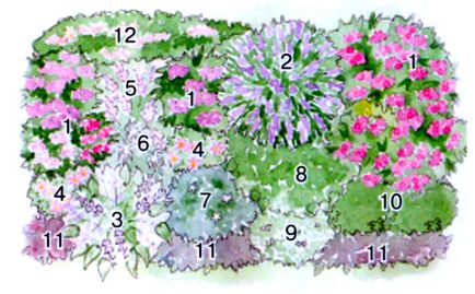 Cum să aranjați o grădină de flori din plantele perene