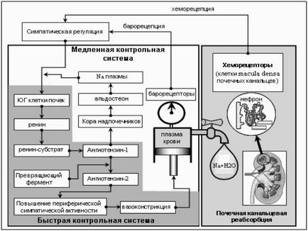 Cum să diagnosticați corect hipertensiunea