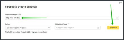 Cum să verificați răspunsul serverului în webmaster-ul Yandex pentru a reduce timpul