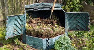 Cum sa faci singur un compostator potrivit, sfatul unui rezident calificat de vara