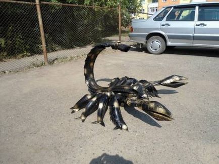 Cum să faci un scorpion de anvelope
