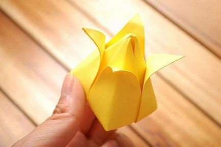 Cum sa faci un model de lalele origami si sa faci munca, ls