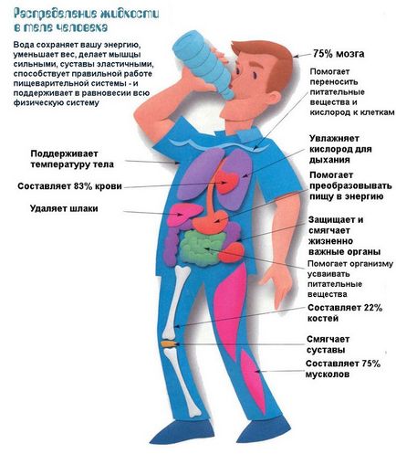 Як зробити смачну воду з лимоном в домашніх умовах - як приготувати лимонну або лаймовим воду