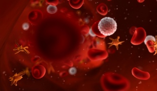 Як зменшити тромбоцити в крові