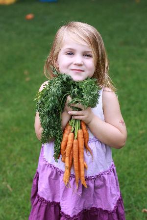 Як варити моркву і що з неї приготувати