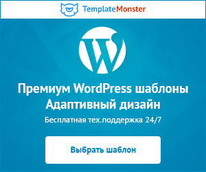 Cum sa alegi un furnizor de gazduire, template-uri wordpress rusesti