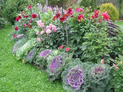 Country Garden a kertben, hogyan lehet legyőzni a rusztikus kényelmet kerttervezés