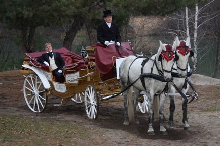 Az edző a lovak - új perspektívát lakodalmas menet - édes menyasszony - esküvői portál
