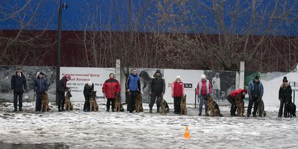 Dog Training Center új légió