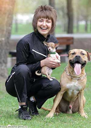 Club de câine Veo-service, ciobanesc din Europa de Est, câini de pregătire în Moscova,