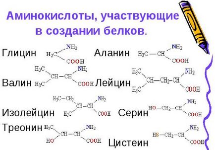 Коли приймати амінокислоти bcaa для спортсменів