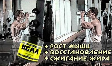 Коли приймати амінокислоти bcaa для спортсменів