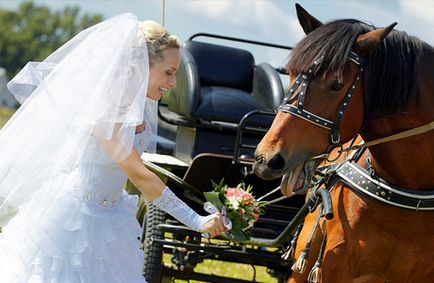 Curele de cai ca cortegiu de nuntă