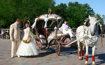 Curea de cai, ca opțiune de cortege de nunta de la cortege de nunta - artist de nunta este vorba despre
