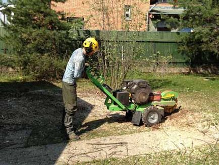 Корчування пнів ціна на викорчовування й видалення пнів, розкорчування ділянки в московській і