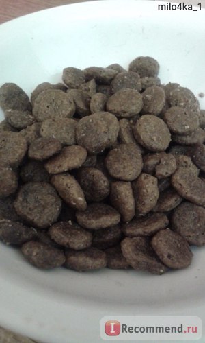 Корм для собак go natural sensitivity shine dog recipe (сухий корм для собак і цуценят з арен з
