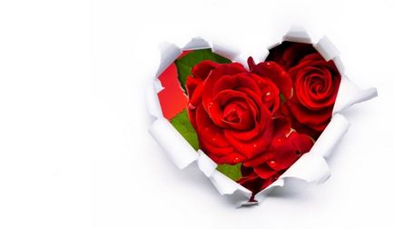 Красиві фотографії з зображенням сердець і троянд, позитивний інтернет-журнал