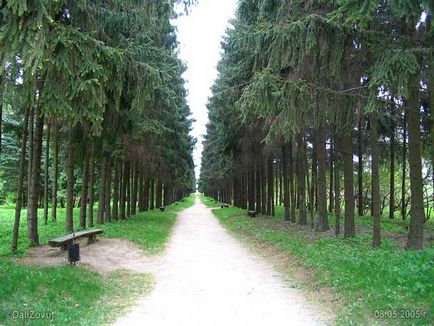 Arboretum Krasnokutsky