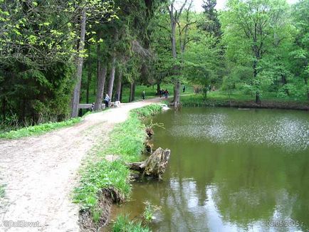 Arboretum Krasnokutsky