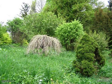 Arboretum Krasnokutsky