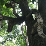 Krasnokutsky dendropark - cum să ajungi acolo, excursie, fotografie