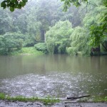 Krasnokutsky dendropark - cum să ajungi acolo, excursie, fotografie