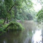 Краснокутський дендропарк - як доїхати, екскурсія, фото