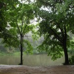 Krasnokutsky dendropark - cum să ajungi acolo, excursie, fotografie