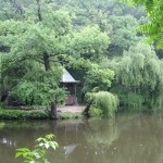 Krasnokutsky dendropark - cum să ajungi acolo, excursie, fotografie