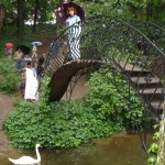 Krasnokutsky dendropark - cum să ajungi acolo, excursie, fotografie