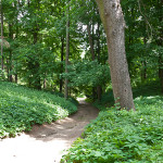 Krasnokutsky dendropark - cum să ajungi acolo, excursie, fotografie