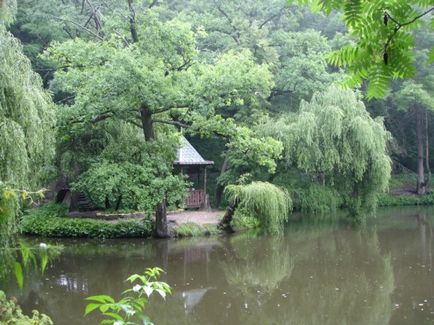 Krasnokutsky dendropark - cum să ajungi acolo, excursie, fotografie