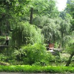 Krasnokutsky dendropark - cum să ajungi acolo, excursie, fotografie