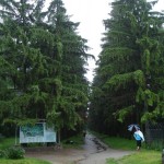 Krasnokutsky dendropark - cum să ajungi acolo, excursie, fotografie