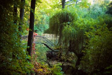 Krasnokutsky arborétum, Krasnokutsk