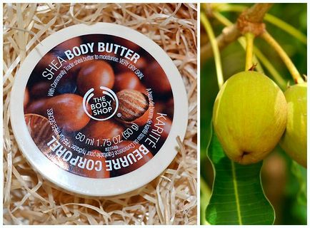 Крем-масло ши для тіла the body shop shea body butter відгуки