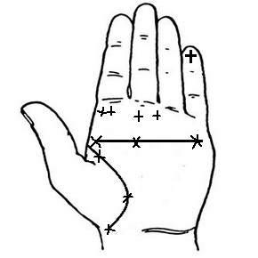 Cross-palmistry