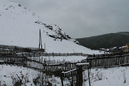 Cumparati balsam pentru tratamentul articulatiilor vindecator de taiga din Sankt-Petersburg, pentru balsam