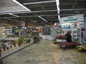 Купити насіння та саджанці на ввц - вднх, Київ виставки-ярмарки, фестивалі