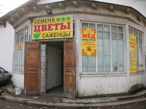 Купити насіння та саджанці на ввц - вднх, Київ виставки-ярмарки, фестивалі