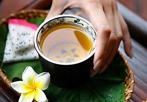 Курильський чай і його корисні властивості особливості принципи