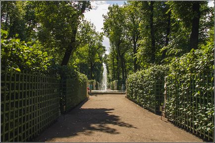 Grădina de vară din Sankt Petersburg 1