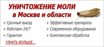 Молец ларви на снимката изглеждат и как да се бори с тях