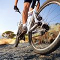 Legjobb hatásos gyakorlat bicepsz dvusustavnye a súlya (effektív) Legjobb hatásos gyakorlat bicepsz dvusustavnye a földre