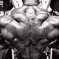 Legjobb hatásos gyakorlat bicepsz dvusustavnye a súlya (gyakorlat) Legjobb hatásos gyakorlat bicepsz dvusustavnye a földre