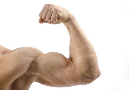 Cele mai bune biceps biceps eficiente exerciții pentru greutate