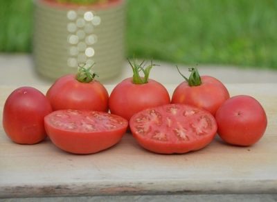 Кращі сорти томатів для теплиць на Уралі