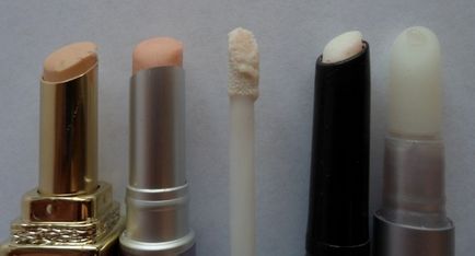 Lip makeup începe cu recenzii de bază