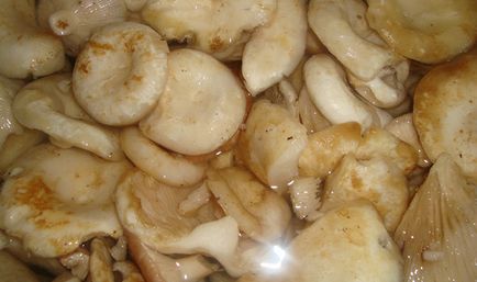Мариновані і солоні грузді з часником рецепти ікри, засолювання і маринування грибів